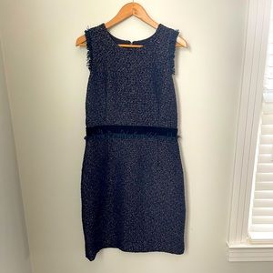 J. Crew Dress